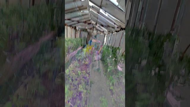улыбнись