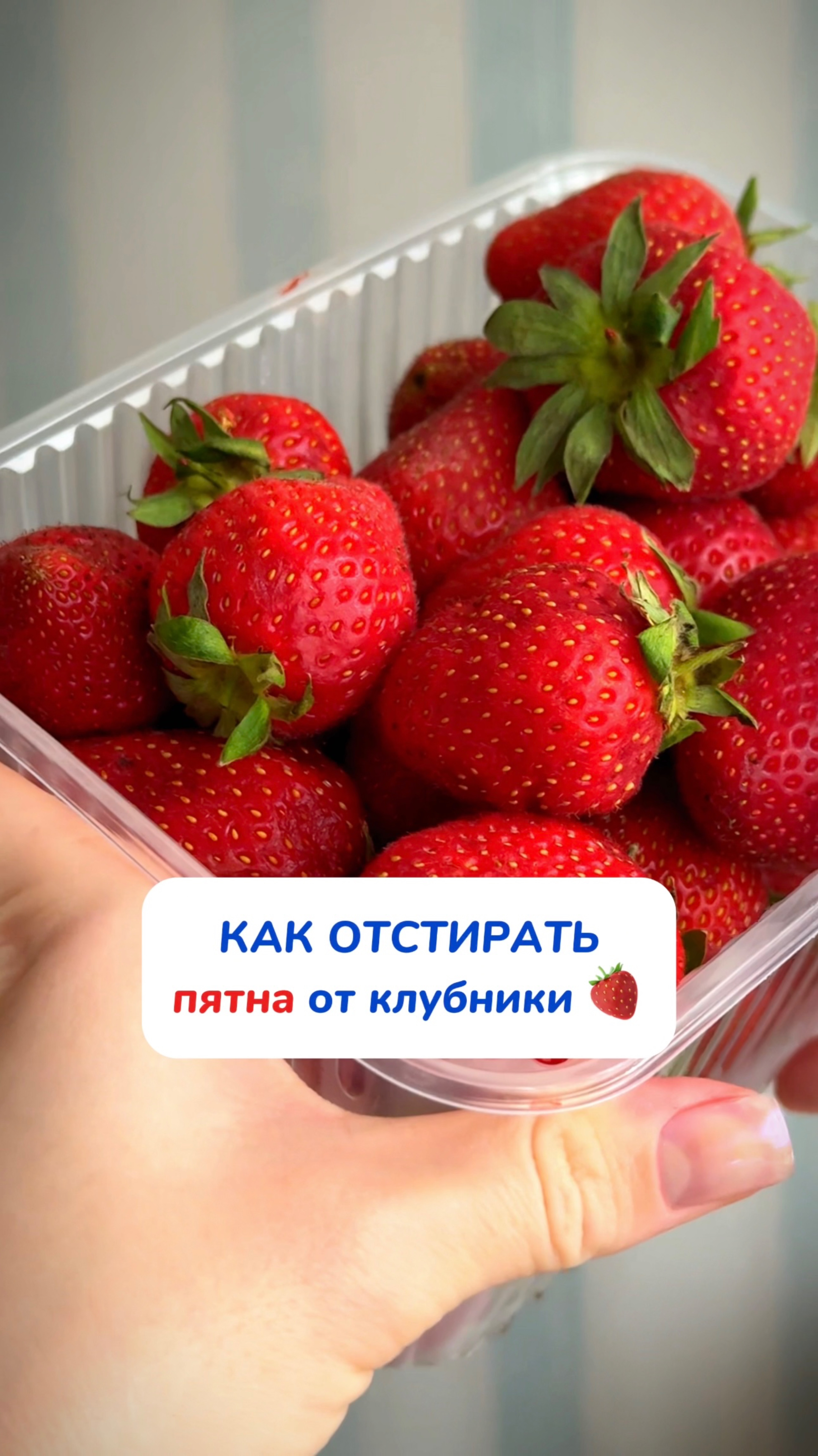 🍓 Даже такое пятно можно отмыть салфеткой. Найти можно тут ➡️ WB #234627478   OZ #1641932840