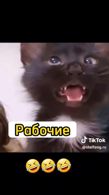 Однажды на стройке. 😁👌