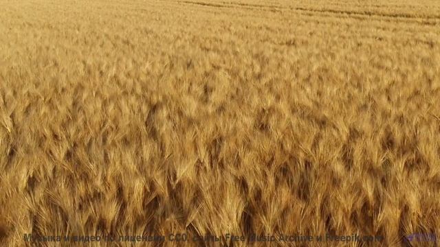 Никто не ожидал такого финала! - FunkBox -- Ketsa -- Through to Fall