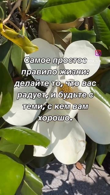 Цитата дня