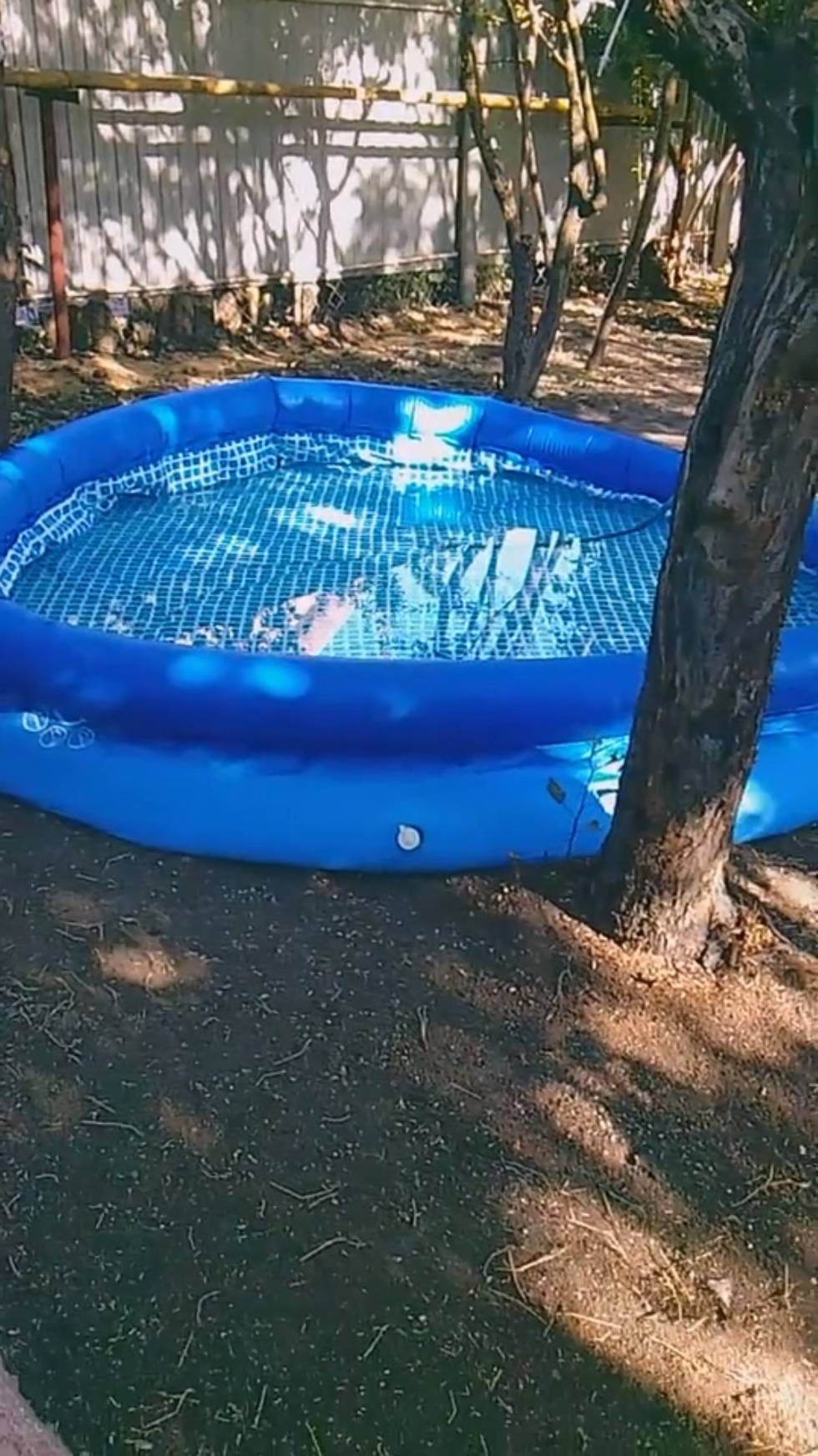 Чаша для бассейна 366×76см, Easy Set Pool