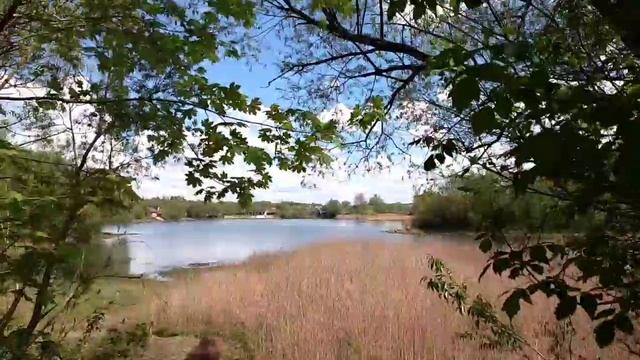 1137, 16.05.2021, два пруда в Касьяновке, Орловский район, Неполодское сельское поселение, деревня,