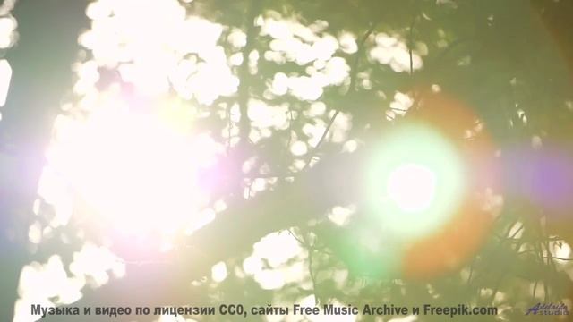 Поля вспыхивают красками, когда играет такой ритм - How about Morse Code -- A Tape Full of Mistakes
