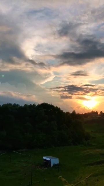 Звуки природы, спокойная музыка  
#природа#красиваямузыка#пениептиц#youtubeshorts