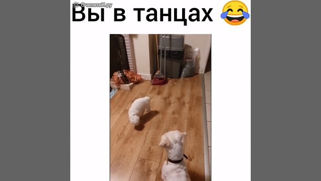 вы в танцах