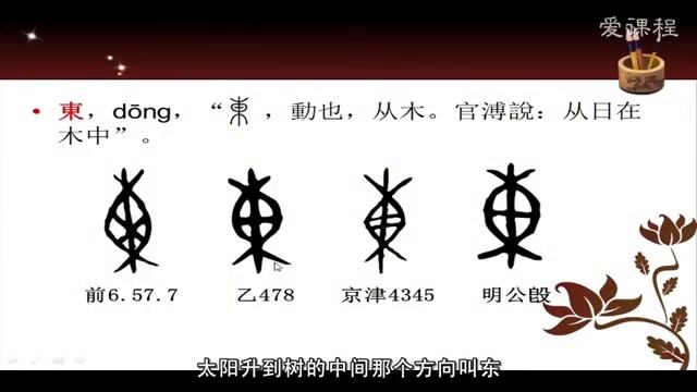 05 植物与庄稼类基础字形讲析 武汉大学 说文解字