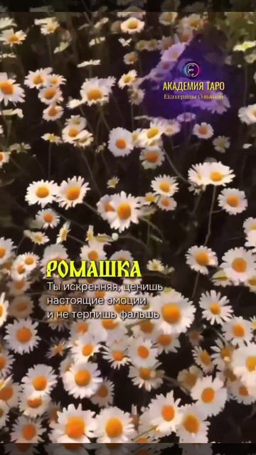 1000015788.mp4