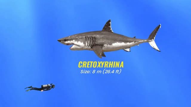 Сравнение размеров 30 вымерших монстров