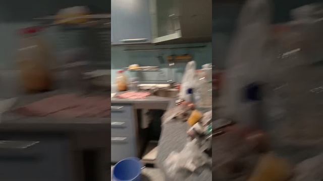 1000230236.mp4