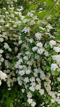 VID_20250524_180438.mp4