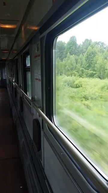 Поезд в Брянск