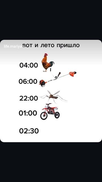 лето