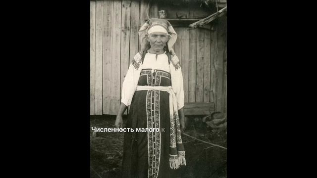 Памятная медаль "Водский крест"VAĐĐA RISSI от Traderson Foundation всем вожанам и за сохранение води