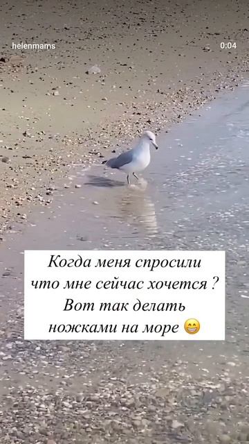 хочу на море