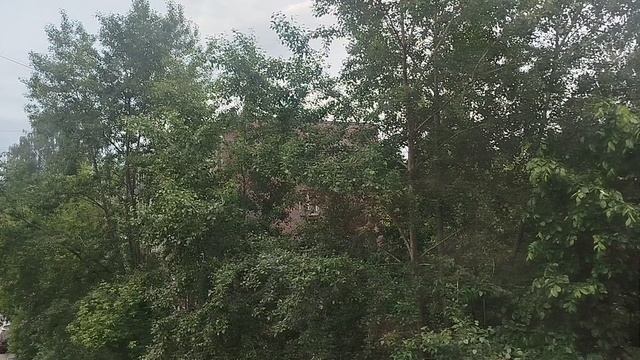 VID_20250612_051135
