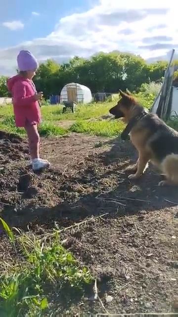 Воспитываем будущего кинолога 🐶😅