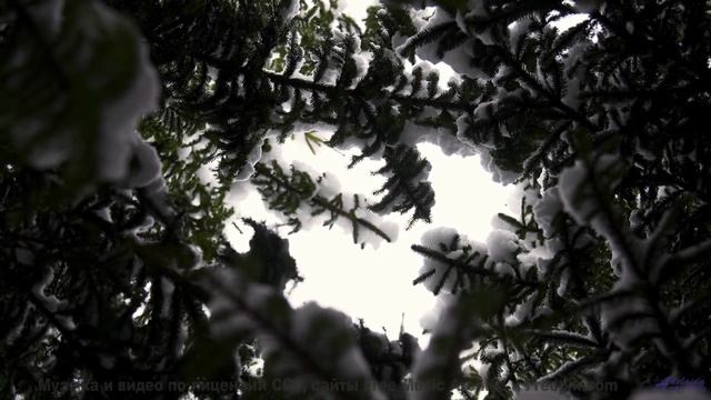 Это не просто клип - это путешествие в страну любви! - 09 Starfire -- Ketsa -- Free and Beautiful