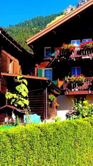 Камера сняла, как всё случилось