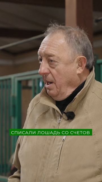 Лучшая порода пони для детей