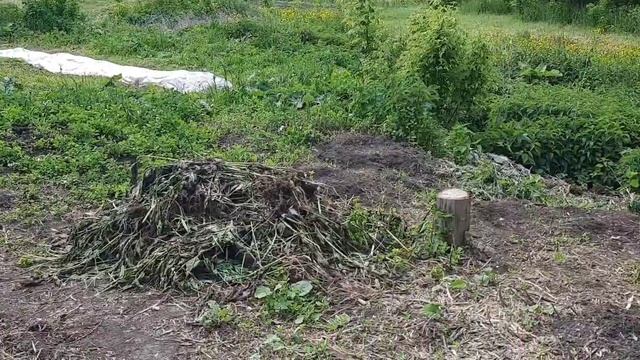 В перерывах между дождями. Прогноз на 10 дней ДОЖДИ И ГР