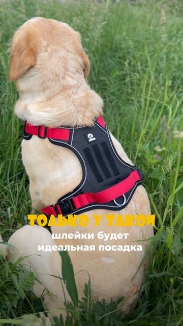 И все дело в…
РЕГУЛИРУЕМЫХ ЛЯМКАХ 🎗️