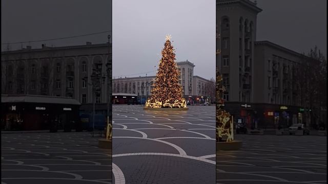Новогодняя ель в Рустави (Грузия)