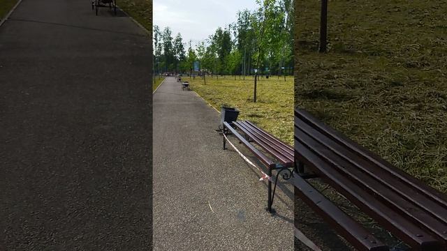 Разговоры