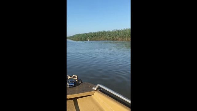В гармонии с миром: красота природы как путь к умиротворению