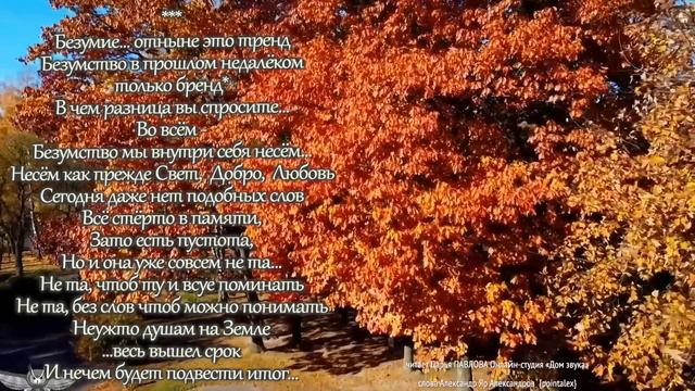 Безумие... отныне это тренд 230912 Дарья ПАВЛОВА Онлайн-студия «Дом звука»