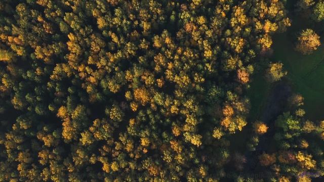 Беспокойство улетает прочь при первом музыкальном аккорде - Oxford Movement -- One Man Book -- But F