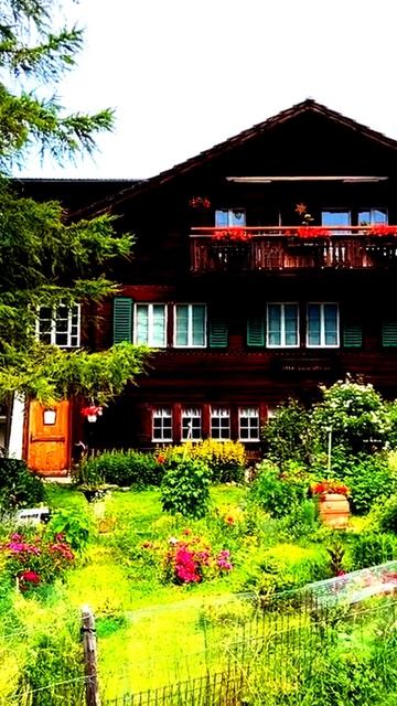 Камера сняла что-то сверхъестественное