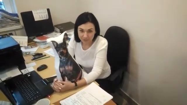 Видеотзыв о работе компании-интегратора amoCRM. Внедрени