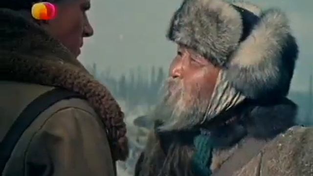 Следы на снегу 1955