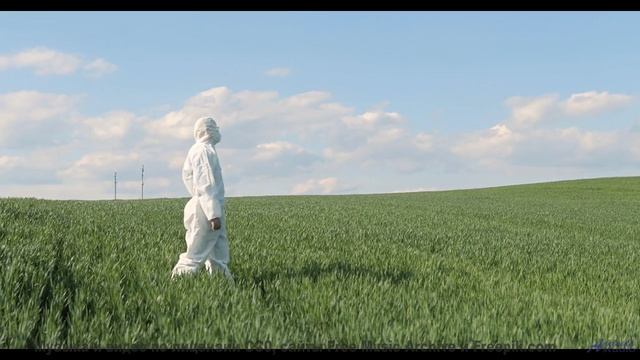 Что на самом деле происходит в этом видео Ответ вас шокирует! - Mother Tongue -- SUPERARE -- III