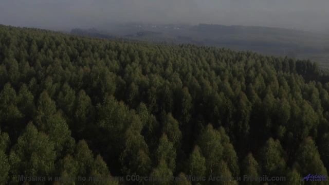 Ты НЕ ПОВЕРИШЬ, что это не CGI! - Silence By Sentence -- One Man Book -- Potlatch