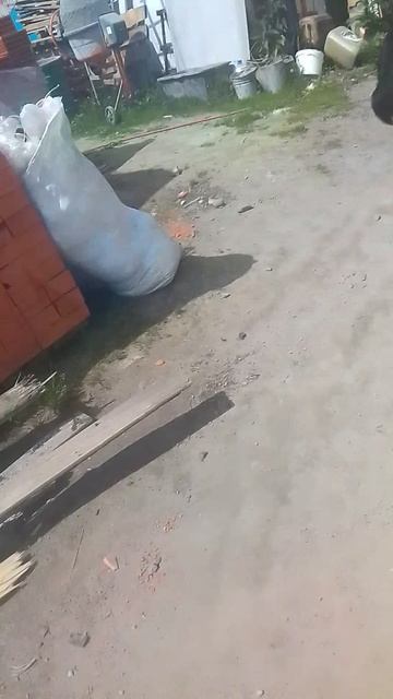 а я Машка