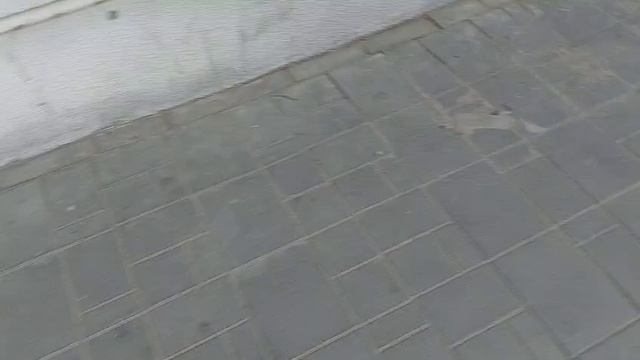 Малышка Нюся бежит гулять))