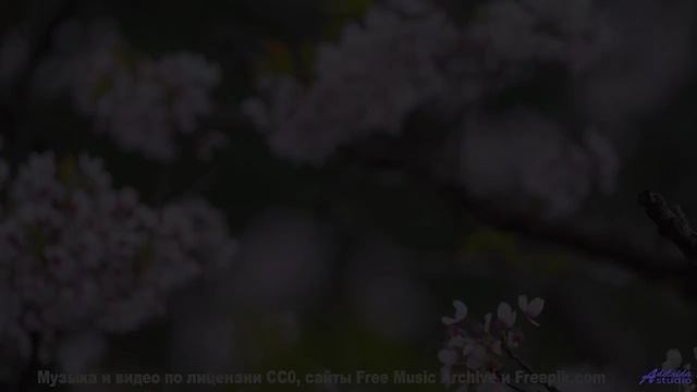 Ты НЕ ДОЛЖЕН слушать это ночью! - Early Flight -- One Man Book -- Ghosts + Echoes