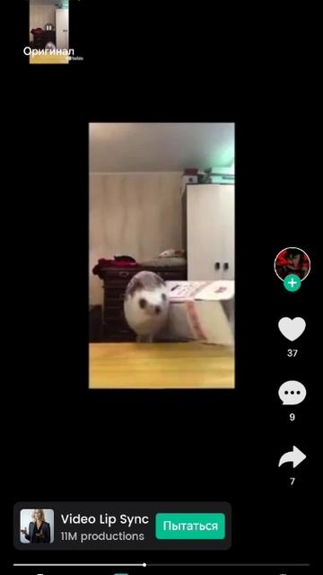 VID-20250603-WA0000.mp4