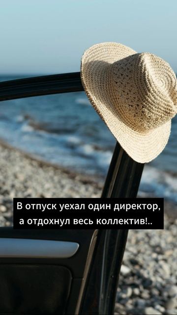 Анекдот дня (253) Хорошее настроение Short