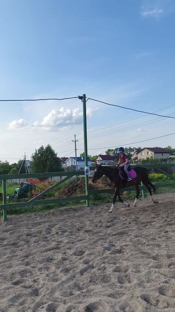 Соня и Флейта, галоп на плацу в полевой посадке.