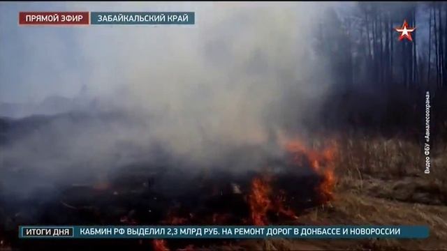 Звезда, Природные пожары в России, 11 июня 2025