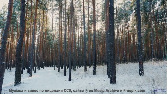 Почему в этом видео видят послания из другого мира - Rekindle -- Ketsa -- The New World