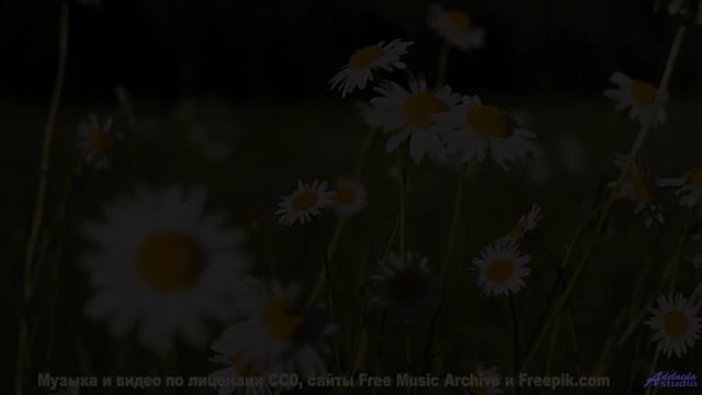 Он затронет струны души, о которых ты даже не подозревал! - Bad Seed -- Vincent Augustus -- Nightlif