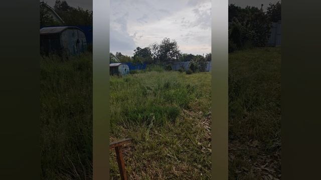 1000218280.mp4