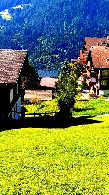 Камера не обманывает