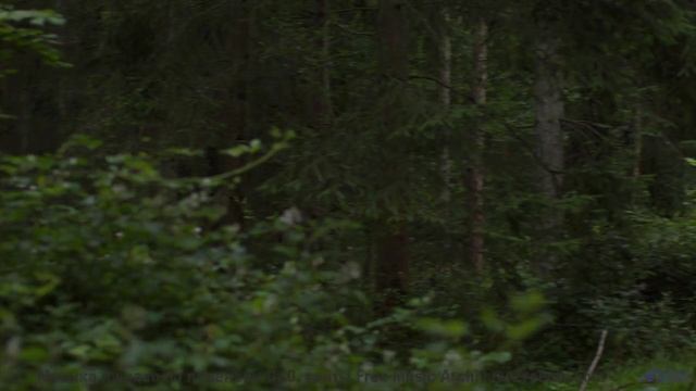 Путешествие - это не место на карте, а момент, когда звучит эта песня - Mirrors In Other Places -- B