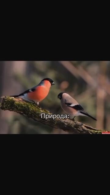1000095250.mp4