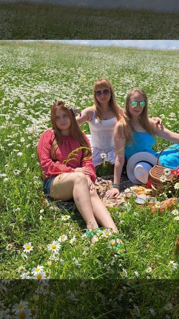 И снова Ромашковое поле
